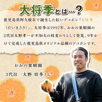 ＜先行予約受付中！2025年2月中旬以降順次発送予定＞数量限定！おおの果樹園の「大将季」(計3kg) 果物 フルーツ 果実 柑橘 ハウス栽培 無加温 みかん【おおの果樹園】a-20-19