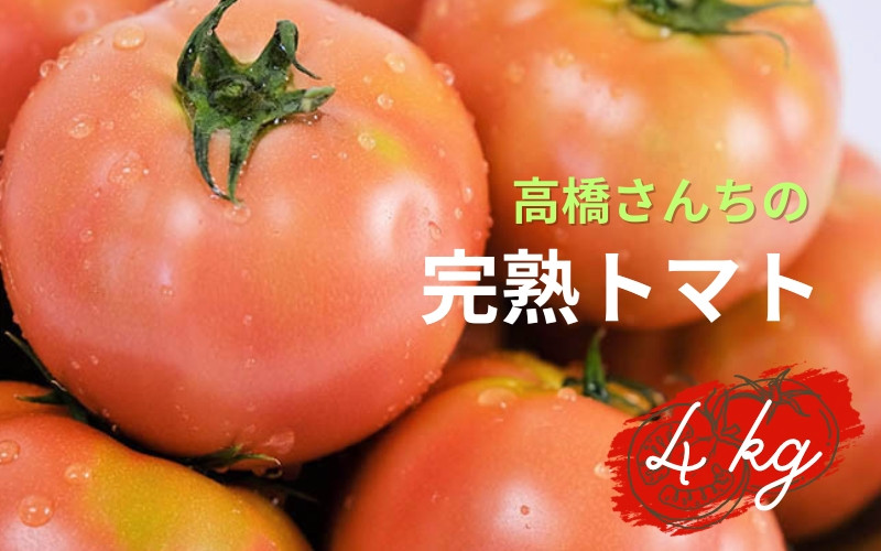 
【令和7年度分予約受付】平泉町産 たかはしさんちの完熟トマト 約4kg(M玉サイズ) 【2025年6月下旬～9月下旬頃からの発送】/ トマト とまと 完熟 樹上完熟 野菜 やさい ベジタブル 甘い 濃厚 美味しい リコピン
