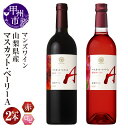 【ふるさと納税】 ワイン 赤ワイン ロゼ 飲み比べ 750ml 2本 セット マスカット・ベーリーA パッシ 凍結搾り 辛口 甘口 酸味マンズワイン 酒 数量限定 母の日 父の日 記念日 ギフト 贈り物 山梨県 甲州市 (MW) 【C-780】