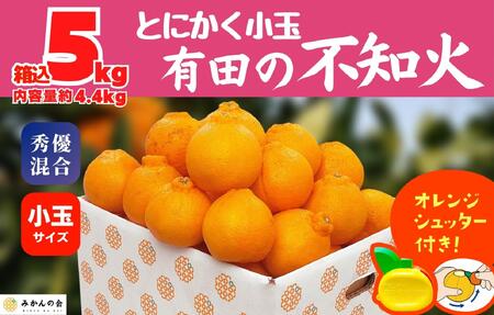 不知火 とにかく 小玉 箱込 5kg(内容量約 4.4kg) 秀優品混合 和歌山県産 産地直送［みかんの会］