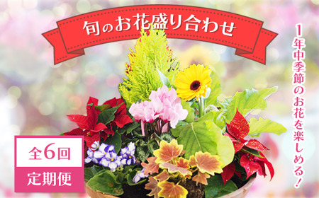 【全6回定期便】1年中季節のお花が楽しめる！旬のお花盛り合わせ（2か月に1回お届け）　【11100-0735】