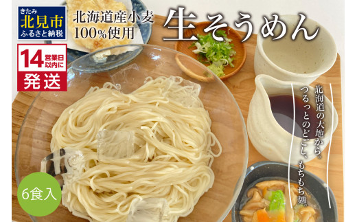 
《14営業日以内に発送》【北海道産小麦100％使用】津村製麺所がつくる 生そうめん 6食入 ( 素麺 生 生めん 生麺 そうめん 北海道 小麦粉 ソーメン 北見市 ふるさと納税 )【003-0007】
