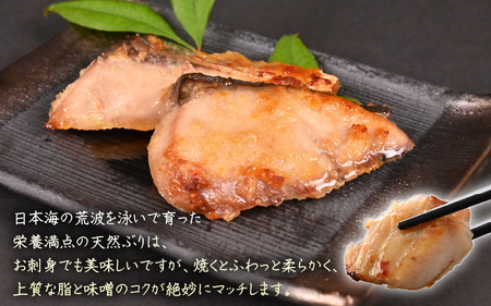 天然ぶり西京漬け 計6切（約90g×2切入）×3パック【福井県 美浜町 ぶり ブリ 鰤 天然 海鮮 魚介 西京漬け 惣菜 おかず 弁当 国産 小分け 冷凍 セット】 [m36-a028]