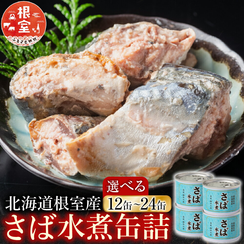 【ふるさと納税】【12月21日決済確定分まで年内配送】 [北海道根室産] さば水煮缶詰 鯖 サバ 魚 さかな サカナ お取り寄せ グルメ 海鮮 サバ缶 さば缶 水煮 缶詰め 北海道 根室市 ふるさと納税