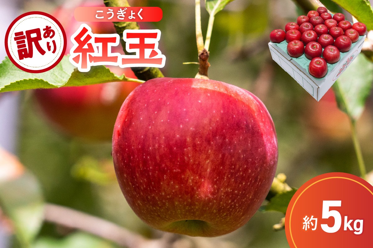 
            【選べる配送時期】【訳あり】 りんご 5kg 紅玉 アップルパイ に最適 青森 不揃い
          