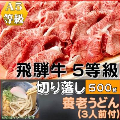 ふるさと納税 養老町 飛騨牛 5等級　切り落し　500g　養老うどん付(3人前)