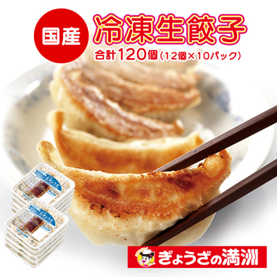 
冷凍生餃子10パック(120個)　ぎょうざの満洲【1238201】
