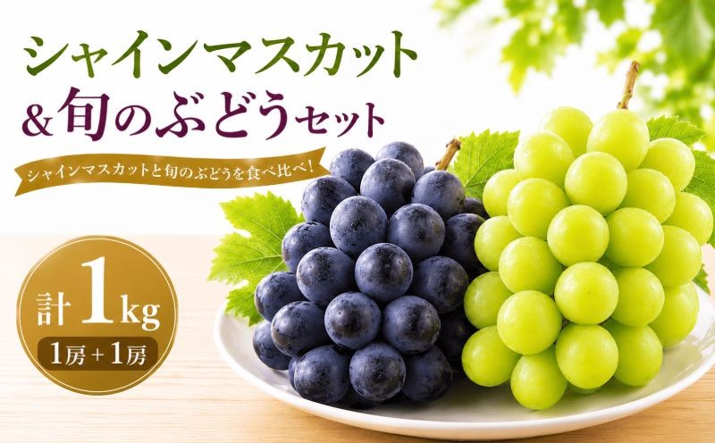 
                  【9月より順次発送】 シャインマスカット＆旬のぶどう 計1kg 各1房 計2房 クイーンニーナ コトピー マスカットノワール 紫玉 雄宝 マスカサーティーン  鉾田市産シャインマスカット ほこたしさんシャインマスカット マスカット しゃいんますかっと 大粒 シャインマスカット 茨城県 鉾田市 ほこたしさんしゃいんますかっと ぶどう 茨城県産シャインマスカット 茨城 鉾田 ほこた 石崎洋江
                