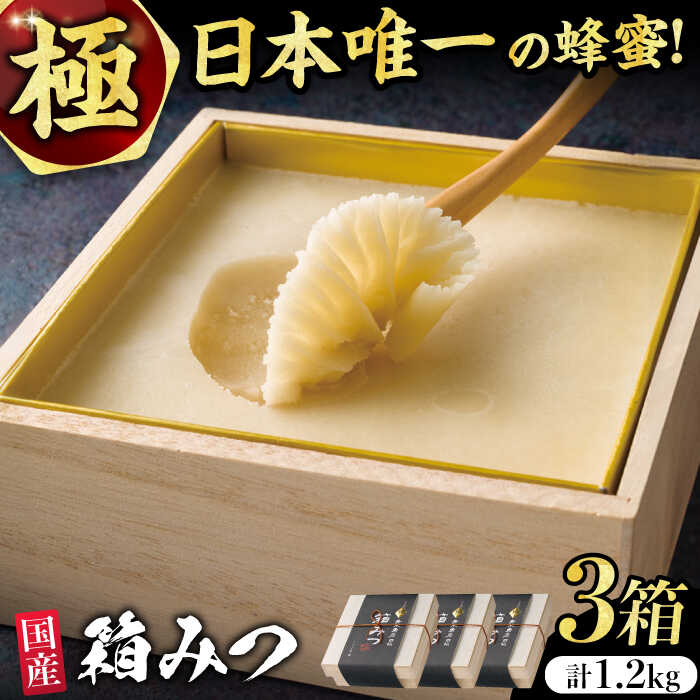 【ふるさと納税】【先行受付 令和7年12月より発送】極箱みつ 3個セット 計1200g (400g×3個)　広川町 / 株式会社九州蜂の子本舗[AFAI015]