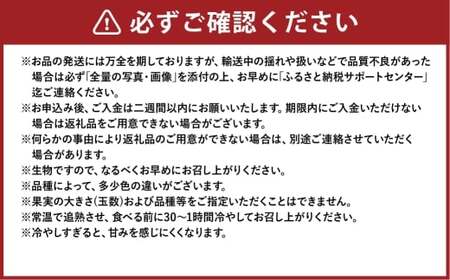岡山白桃 エース 4～8玉 約1.2kg 岡山県産 【2026年7月上旬～8月下旬まで順次発送予定】 モモ もも 桃 白桃 果物 フルーツ 岡山県 倉敷市