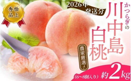 桃 【2026年先行予約】川中島白桃　約2kg 6～8個入 【2026年7月末頃～2026年8月末頃に順次発送予定】（お届け日指定不可）【秀品】こだわり農家厳選 桃 モモ フルーツ 果物 くだもの 人気 産地直送 厳選 甘い 予約 もも フルーツ王国【kgr011A】