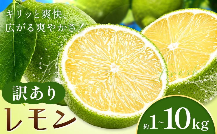 
                  レモン 訳あり 緑色 檸檬 選べる内容量 1kg 2kg 3kg 4kg 5kg 6kg 7kg 8kg 9kg 10kg (1kgあたり5-12玉前後) 株式会社農業福祉研究機構《10月上旬-11月上旬頃出荷》和歌山県 紀の川市 フルーツ 果物 お取り寄せフルーツ
                