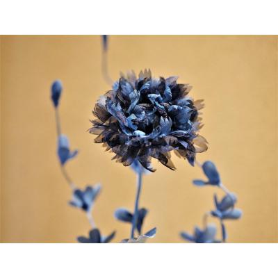 ふるさと納税 徳島市 藍染花　一輪挿しアレンジ 小(矢車草)【DA021】 |  | 01