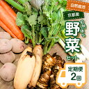 【ふるさと納税】《レビューキャンペーン》＜京都産野菜定期便2回＞自然体な野菜セット