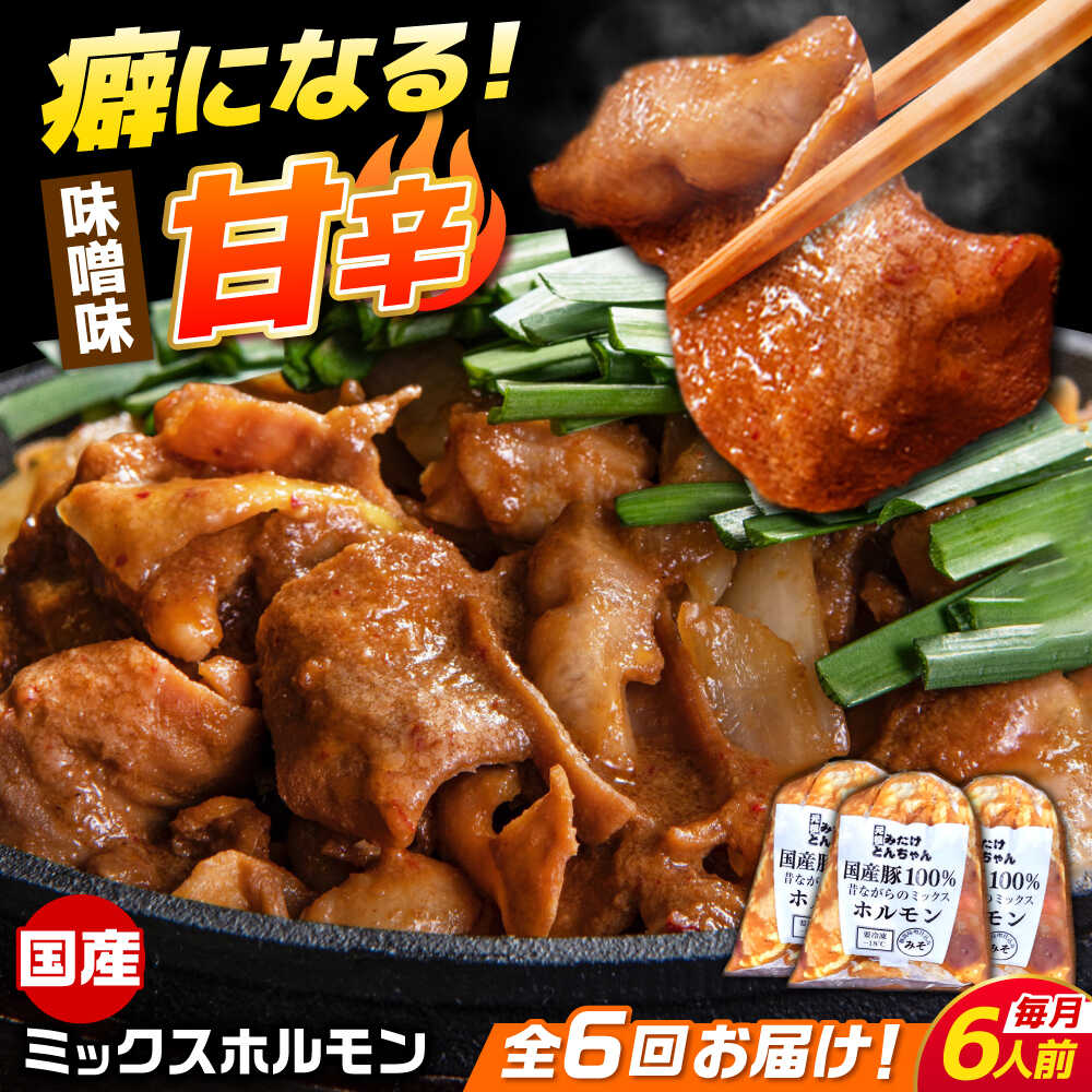 【ふるさと納税】【6回定期便】 「元祖みたけとんちゃん」 昔ながらのミックスホルモン 3袋 / モツ もつ レバー ホルモン / 御嵩町 / 藤よし[AVAA086]