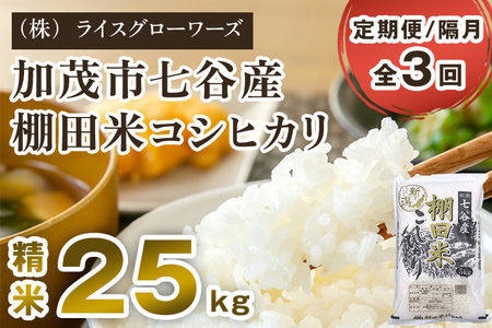 【令和8年産新米先行予約】【定期便3回隔月お届け】七谷産 棚田米コシヒカリ 精米25kg（5kg×5）《10月上旬～順次出荷》 白米 （株）ライスグローワーズ