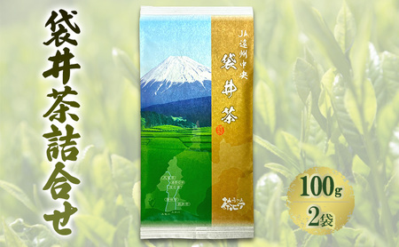 煎茶 袋井茶詰合せ 静岡県産 煎茶【100g×2袋】