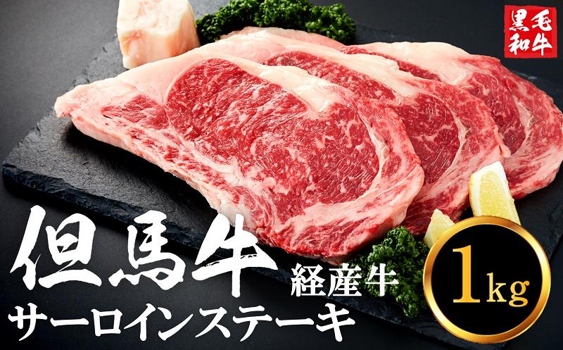 
            但馬牛経産牛「サーロインステーキ」200ｇ×5枚　032AA01N.／黒毛和牛 ステーキ肉 いちかわ精肉店 経産牛 牛肉 肉 お肉 国産 bbq バーベキュー 焼肉 ステーキ サーロイン 赤身 肉 冷凍 焼き肉用
          