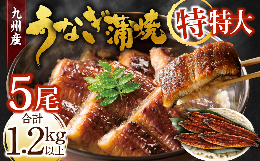 
九州産 うなぎ蒲焼 特特大5尾 (1尾あたり250～266g) 合計：1.2kg以上
