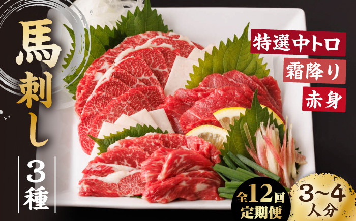 
            【12回定期便】馬刺し バラエティセット 3種類 ～3・4人前～ ＋タレ小 馬刺し 食べ比べ セット 特選霜降り馬刺し 霜降り馬刺し 馬刺し 馬肉 桜肉 馬 肉 霜降り 中トロ 赤身 タレ付き 冷凍 生食 肉食 刺身 九州 熊本県 特産品 山鹿 送料無料【馬刺しの郷 民守】[ZBL104]
          