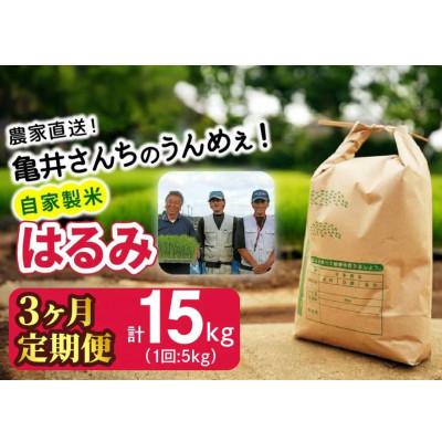 ふるさと納税 伊勢原市 【発送月固定定期便】10月下旬より順次発送　伊勢原産 精米 合計15kg はるみ全3回
