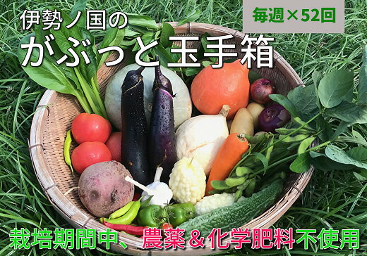 【ふるさと納税】伊勢ノ国のがぶっと野菜玉手箱　：　毎週1回定期便（大人4人1週間分）52回【はしもと農園】