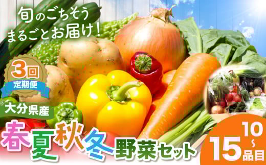 【定期便3回】【JA直売所直送】春夏秋冬野菜セット | 毎月届く 旬野菜 野菜 やさい ヤサイ 旬 国産 国産野菜 定期 定期便 3回 大分県 中津市