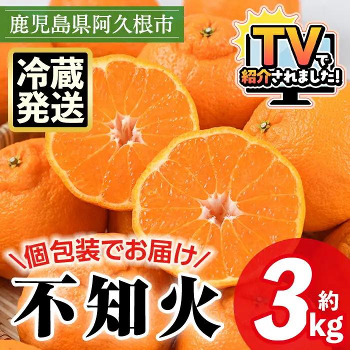 ＜先行予約受付中！2027年4月上旬以降順次発送予定＞ ＼テレビで紹介されました！／数量限定！冷蔵不知火「クールな大将季」(計約3kg) 国産 みかん ミカン 柑橘 フルーツ 果物 旬 デザート 露地 しらぬい シラヌイ 期間限定【三笠農業生産】akn051-06