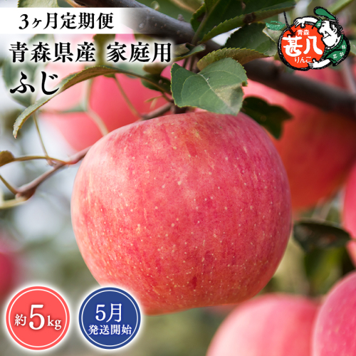 【2027年5月発送開始】青森県産 ふじ りんご 家庭用 約5kg 3ヶ月定期便 青森りんご 林檎 フルーツ 平川市【hi-0058-183】