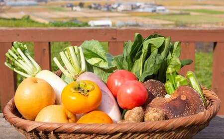 P331-01 道の駅うきは 部長ギフト