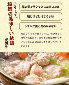 はかた地どり美人水炊き5種セット 2～3人前　