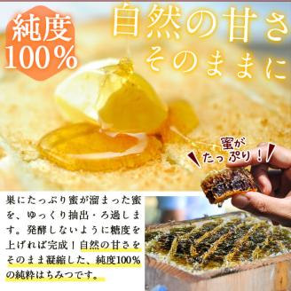 日本みつばちの純粋蜂蜜＜志布志の秘蜜＞(280g×1本) a2-029