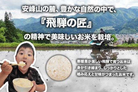 【2024年先行予約 9月末から発送】令和6年産 新米 飛騨古川産　特別栽培米　こしひかり　5kg 特A [Q1858_24]