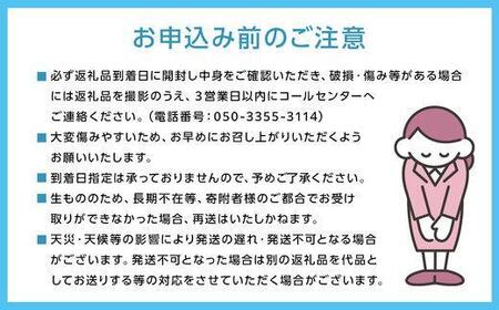 ぶどう 2024年 先行予約 9月・10月・11月発送 シャイン マスカット 晴王 2房（合計約1kg）×3回 ブドウ 葡萄  岡山県産 国産 フルーツ 果物 ギフト