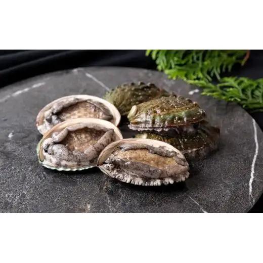 翠巡(すいじゅん) 完全養殖 佐世保産 あわび 10個 A508-x