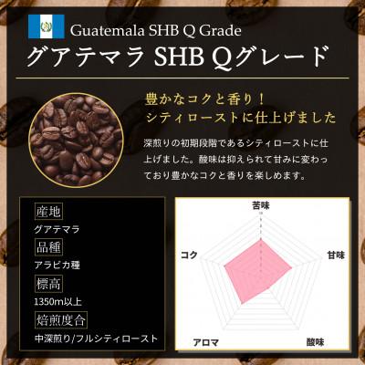 ふるさと納税 尼崎市 コーヒー豆 スペシャリティ Qグレード認証豆 グアテマラ SHB 中深煎り 500g |  | 02