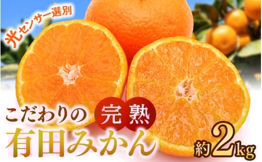 早期先行予約！  こだわりの有田みかん 約2kg【ご家庭用】【12月発送】 光センサー選別品 農家直送品 ※北海道・沖縄・離島配送不可 / みかん 有田みかん 温州みかん 柑橘 果物 くだもの フルーツ 有田 和歌山 和歌山県産 産地直送 【nuk159-12A】