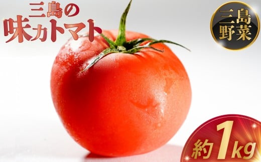【予約受付中】三島の味力トマト 1kg トマト 完熟 高糖度 野菜 数量限定 とまと フルーツ トマト 贈答用 1万円以下