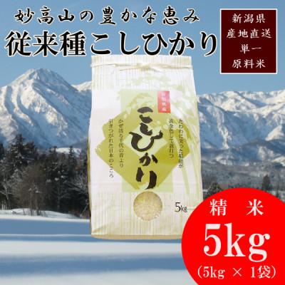 ふるさと納税 上越市 標高200mで育てた棚田米|令和7年産・新潟県上越市中郷産・従来種コシヒカリ精米5kg