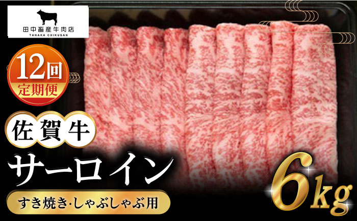 
【全12回定期便】佐賀牛 サーロイン スライス 500g【田中畜産牛肉店】 [HBH020]
