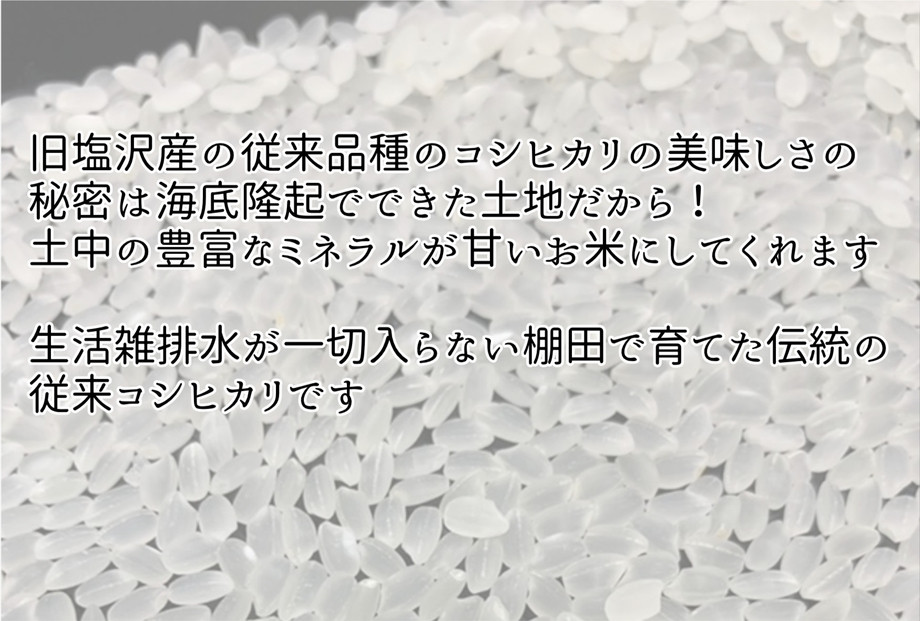 令和7年産　南魚沼塩沢産コシヒカリ　白米５kg