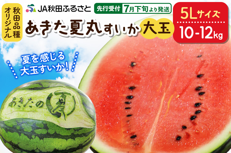 【先行受付】7月下旬より発送 秋田県横手市産 あきた夏丸すいか 5Lサイズ×1玉（約10〜12kg）化粧箱入り