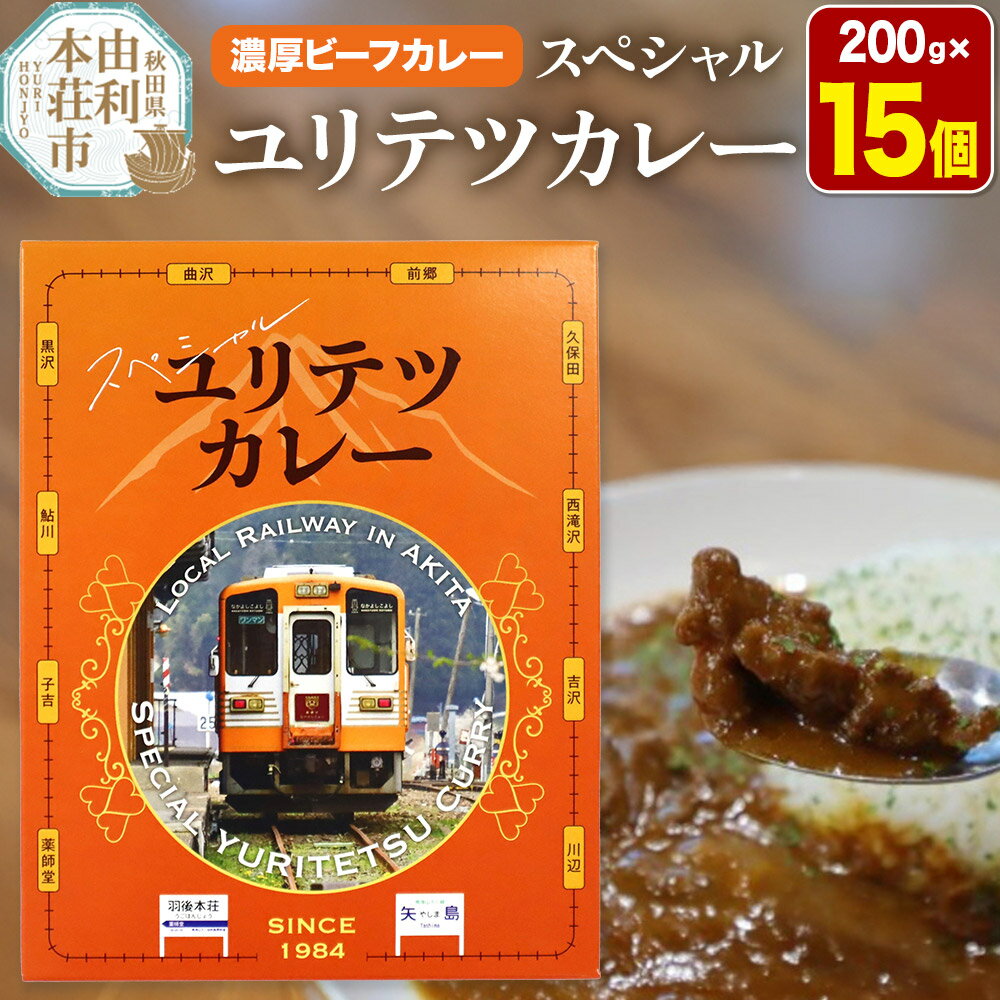 【ふるさと納税】由利高原鉄道 スペシャル ユリテツカレー 200g×15個