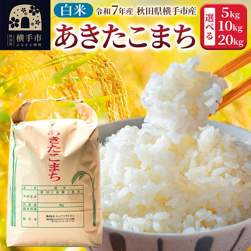 【ふるさと納税】【白米】令和7年産 あきたこまち 【選べる容量 5kg／10kg／ 20kg】横手市産