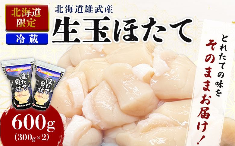 北海道限定 生ほたて 期間限定 北海道雄武産 生玉ほたて 300g×2 塩水パック 冷蔵 | 配送地域限定 生ホタテ 新鮮 ホタテ 帆立 ほたて 大粒 生 生玉 冷蔵 塩水パック 塩水 未冷凍 オホーツク オホーツク産 オンライン 刺身 魚貝 魚介 海鮮 海産 海産物 魚介類 ふるさと納税  雄武町 雄武漁業協同組合 北海道【07152】