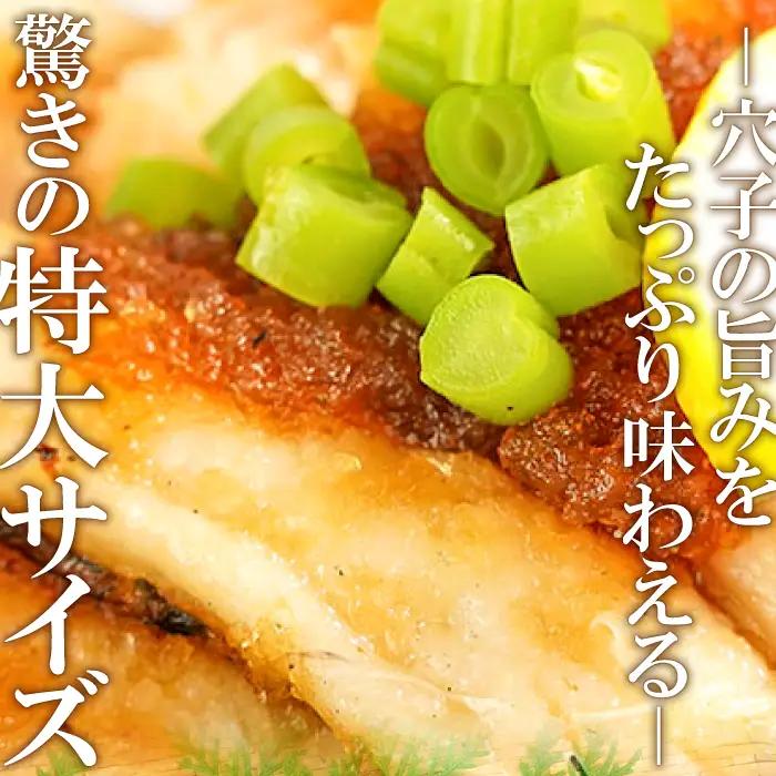 特大 あなご一夜干し 1尾 250g 「天女の羽衣」【穴子 一夜干し 250g 穴子干物 魚介類 魚 アナゴ 干物 特大 50cm 無添加 天日塩 新鮮 冷凍 真空パック 贈答 ギフト 父の日 母の日