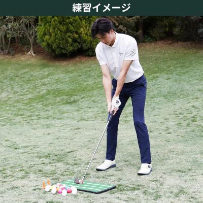 ふるさと納税 常陸大宮市 タバタ　ソフトボール(トレーニングボール)6球入り　GV0311×2個セット |  | 03