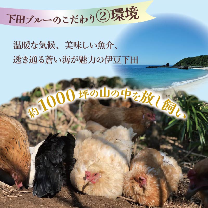 海と山からのおくりもの　下田ブルー(6個入り)4パック