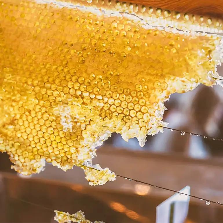 はちみつ 安芸高田はちみつ 200g×2本セット ハチミツ 蜂蜜