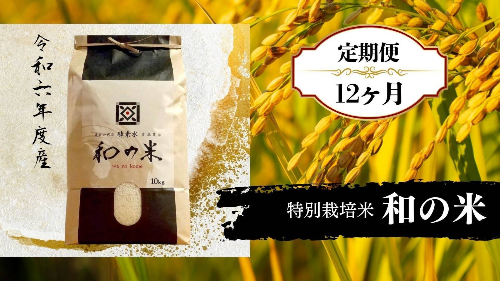 
            【12ヵ月定期便】＼令和6年産／和の米「酵素米」　精米10kg×12回
          